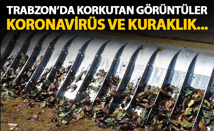 Trabzon'da su alarm veriyor! Koronavirüs ve kuraklık...