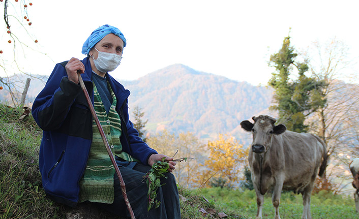 Kısıtlamada Doğu Karadeniz'de köy ve yaylalara akın