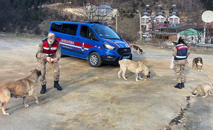 Trabzon’da Jandarma’dan örnek hareket