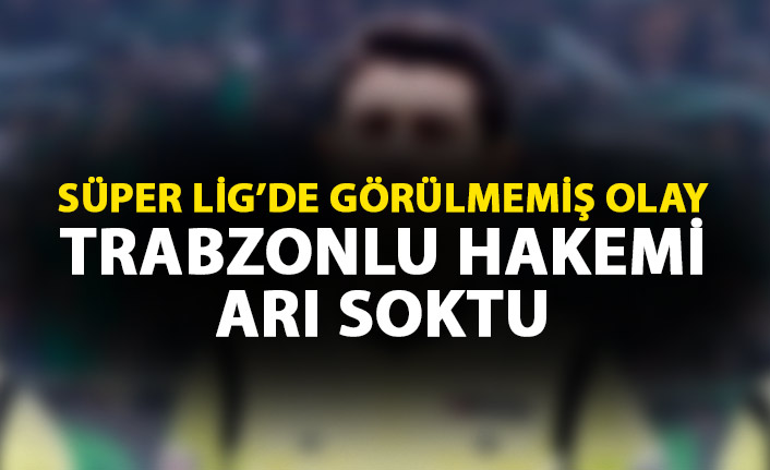 Maç sırasında görülmemiş olay! Trabzonlu hakemi arı soktu