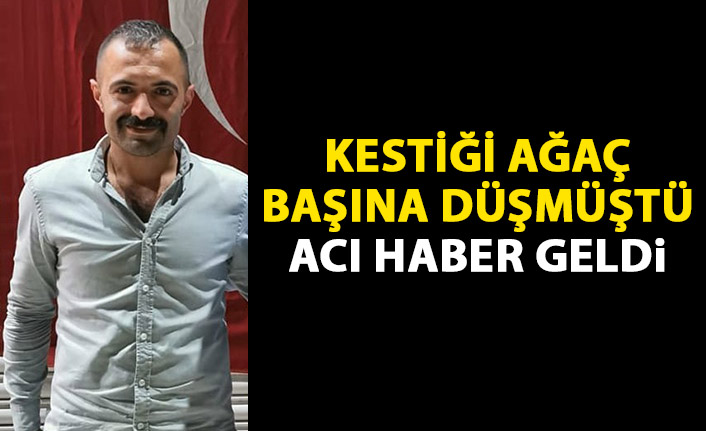 Kestiği ağaç başına düşmüştü! Acı haber geldi