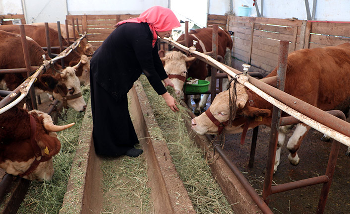 Trabzon'da proje ile köyüne döndü! Şimdi siparişlere yetişemiyor