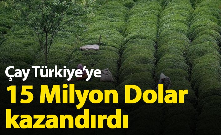 Türkiye çaydan 15 milyon dolar kazandı