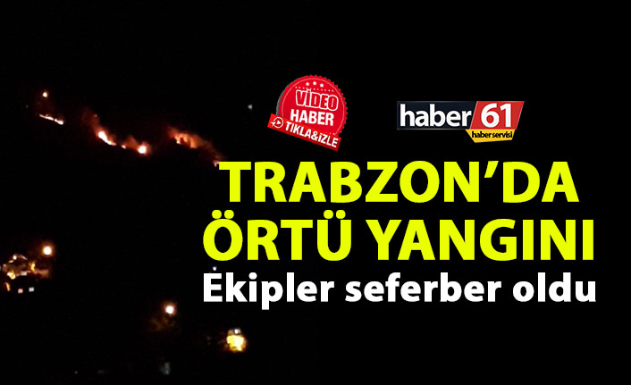 Trabzon'da örtü yangını! Ekipler seferber oldu