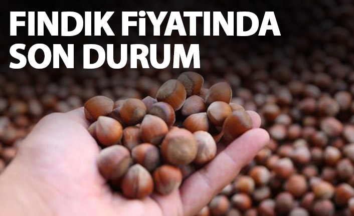 Fındık fiyatlarında son durum ne?