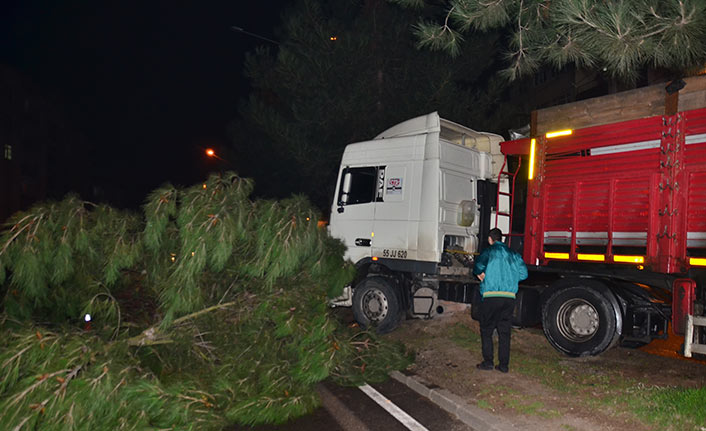 Karadeniz Sahil yolunda kaza! Ağaca çarptı