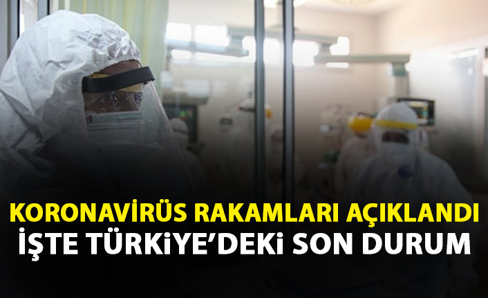 Güncel koronavirüs rakamları açıklandı: Daha belirgin neticeler...