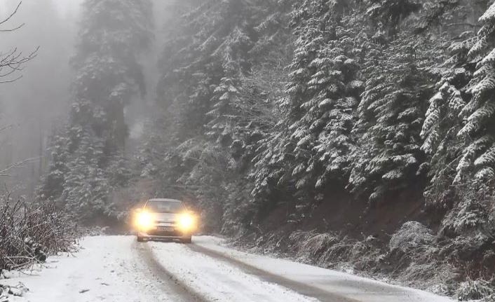 Artvin'i kar yağışı vurdu