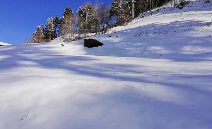 Artvin’de kardan kapalı yollar ulaşıma açıldı