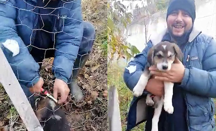 Tellerin arasına sıkışan yavru köpeği böyle kurtardı