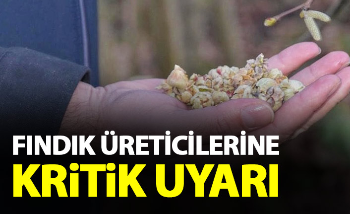 Fındık üreticilerine ‘kozalak akarı’ uyarısı