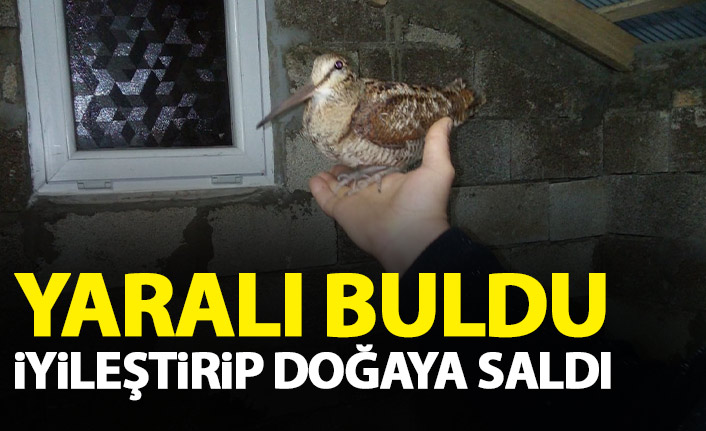 Yaralı bulduğu kuşları tedavi edip doğaya saldı