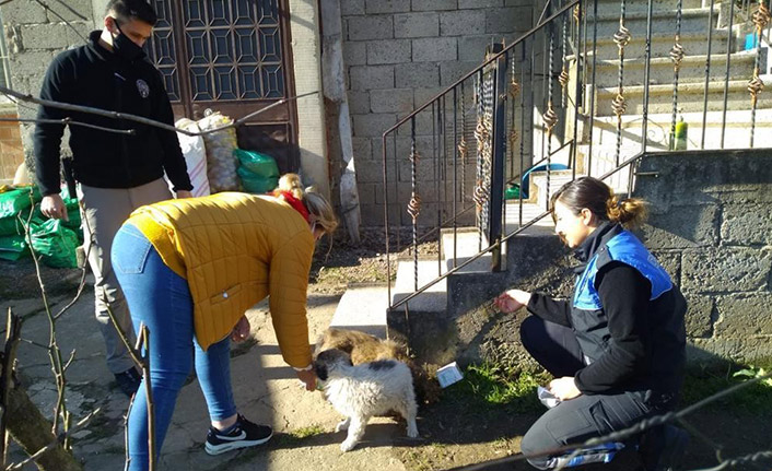 Sokak hayvanlarına polis şefkati