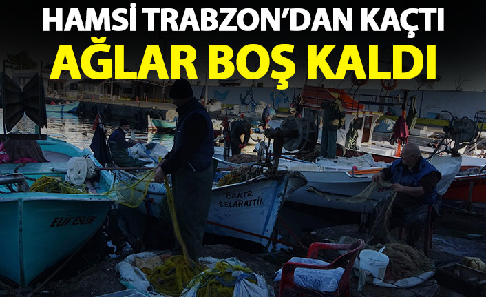 Hamsi Trabzon'dan kaçtı ağlar boş kaldı