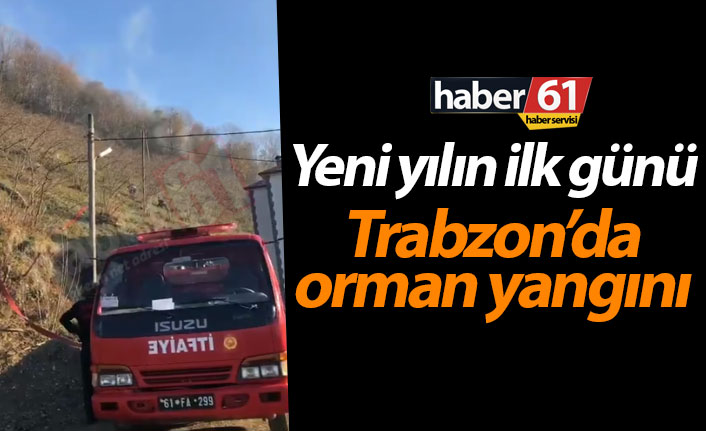 Trabzon'da yeni yılın ilk gününde orman yangını