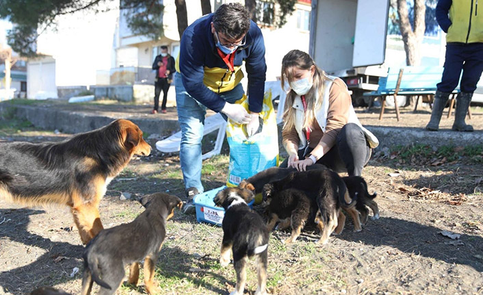 Kısıtlama günlerinde can dostlar unutulmadı