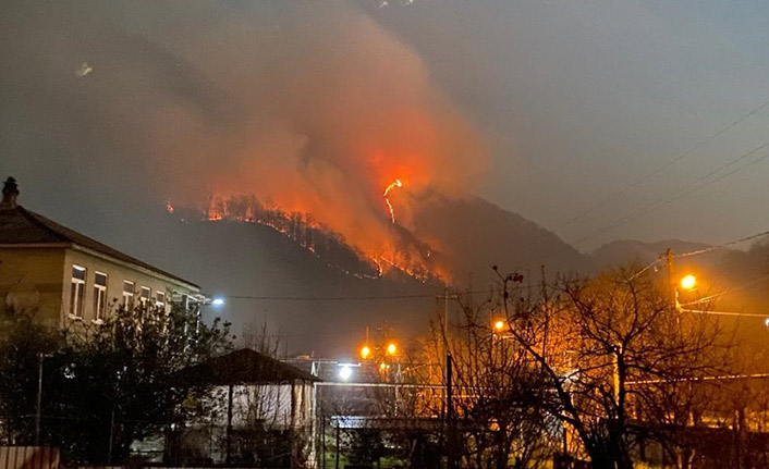 Havai fişekler ormanı yaktı