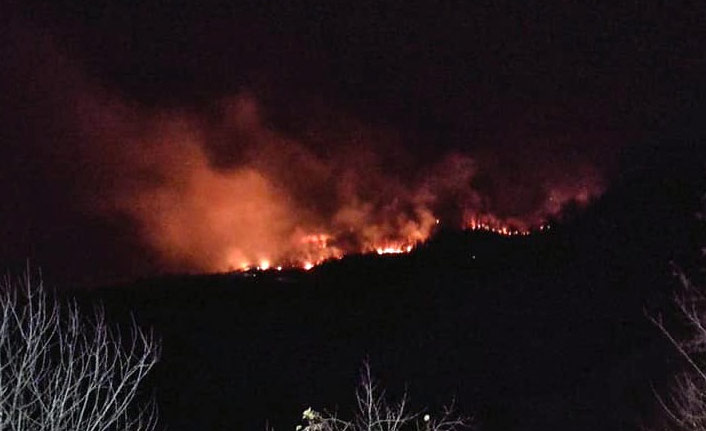 Giresun'da orman yangını çıktı