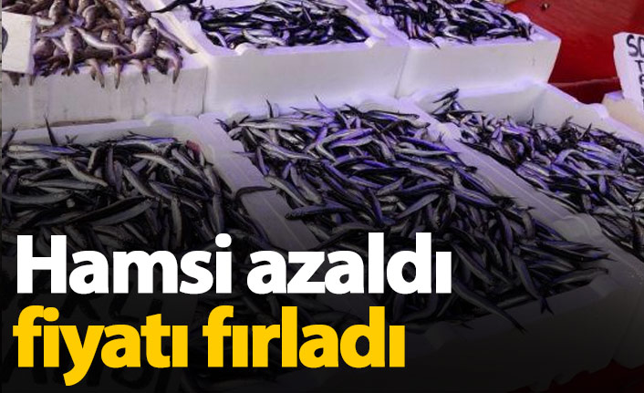 Hamsi fiyatları 30 TL'ye fırladı