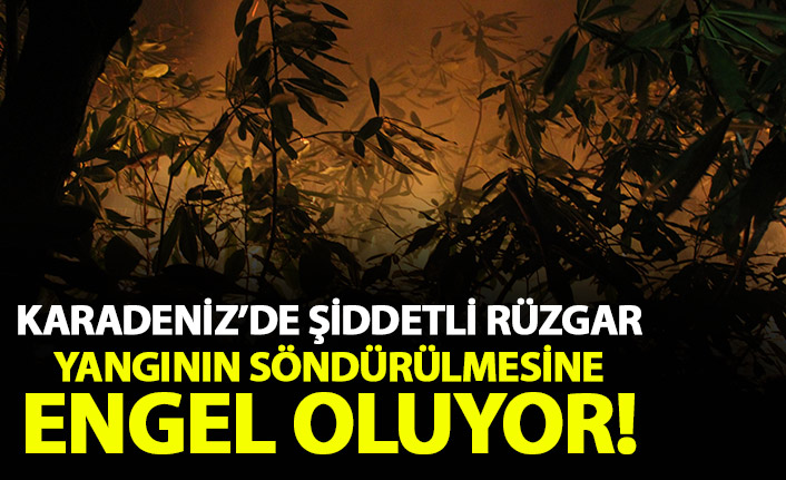 Ordu'da şiddetli rüzgar yangının söndürülmesini engelliyor