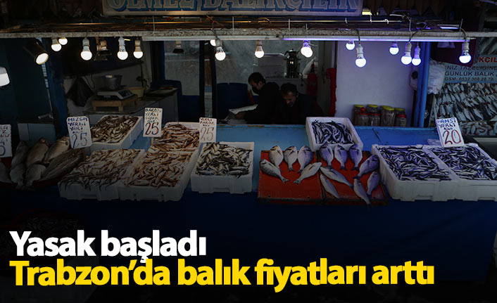 Trabzon'da yasak balık fiyatlarını arttırdı