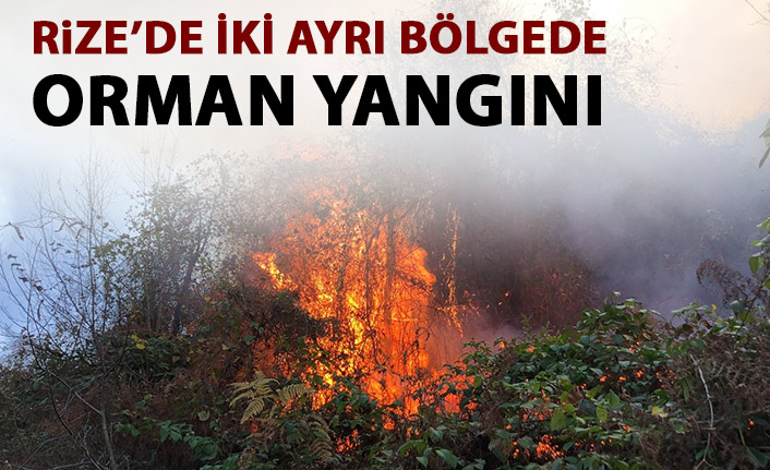 Rize'de 2 ayrı bölgede orman yangını