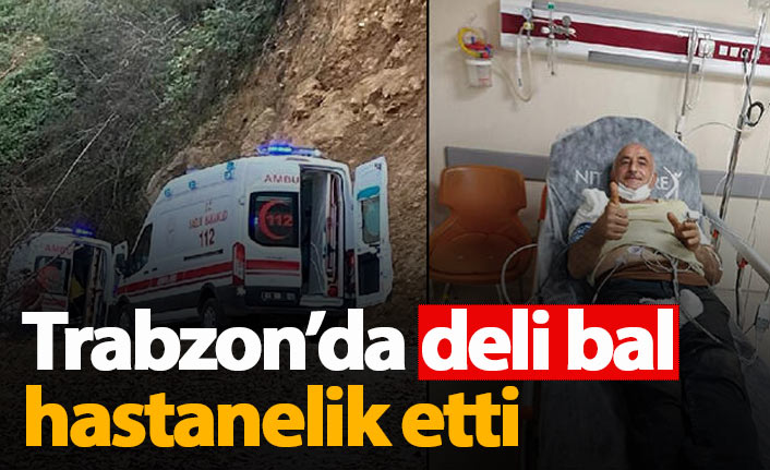 Trabzon'da deli bal hastanelik etti