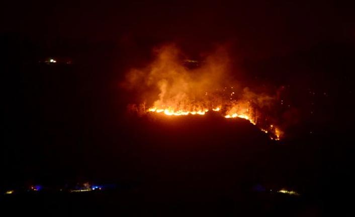 Giresun'da 8 ayrı bölgede yangın çıkmıştı! Soruşturma başlatıldı