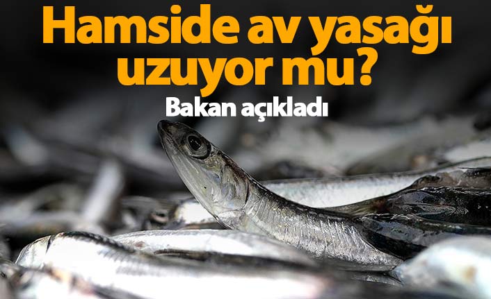 Hamside av yasağı uzuyor mu?