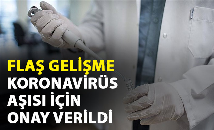 Türkiye'de Koronavirüs aşısı için onay verildi!