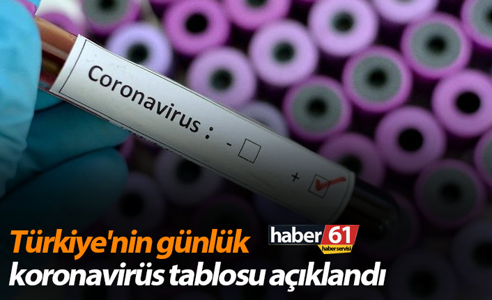 Türkiye'nin günlük koronavirüs tablosu açıklandı