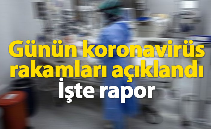 Türkiye'de günün koronavirüs raporu - 18.01.2021