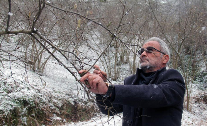 Kar yağışı fındık üreticisini sevindirdi