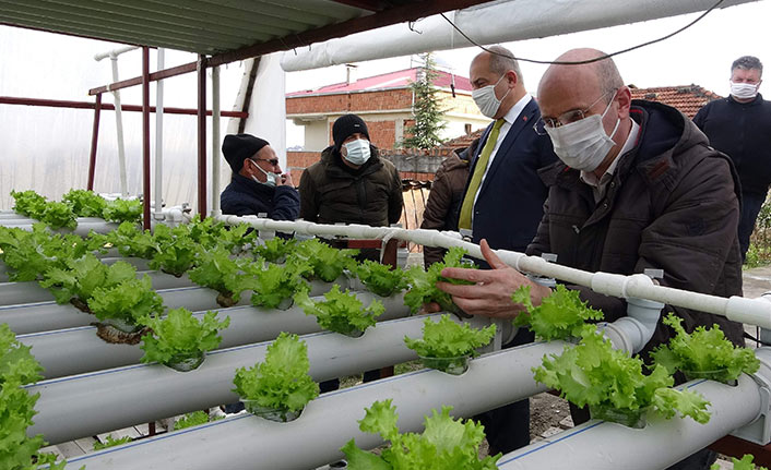 Doğu Karadeniz’de topraksız tarım dönemi