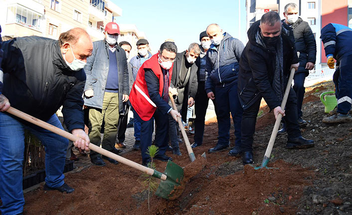 Kan bağışçılarının adı hatıra ormanında yaşayacak!