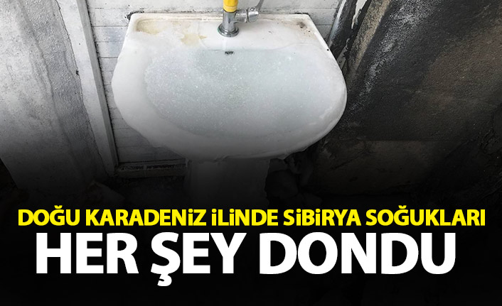 Doğu Karadeniz ilinde Sibirya soğukları yaşanıyor