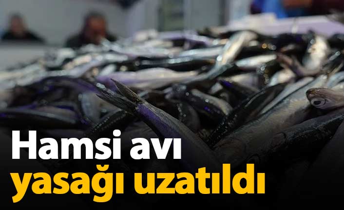 Hamsi avı yasağı uzatıldı!