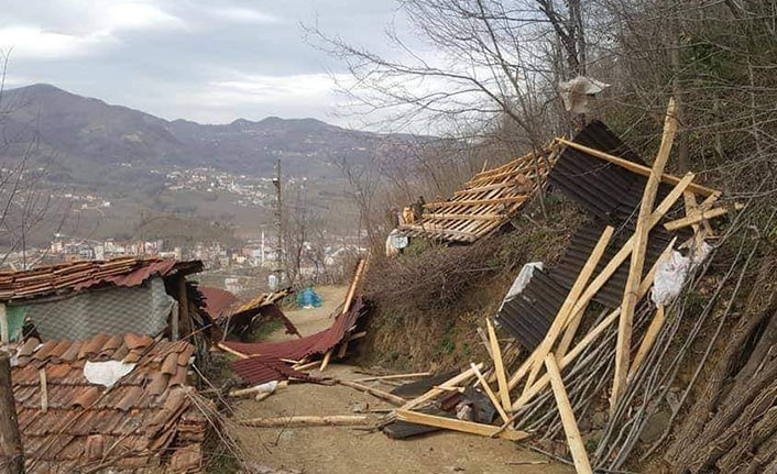 Ordu'da şiddetli rüzgar yıktı geçti