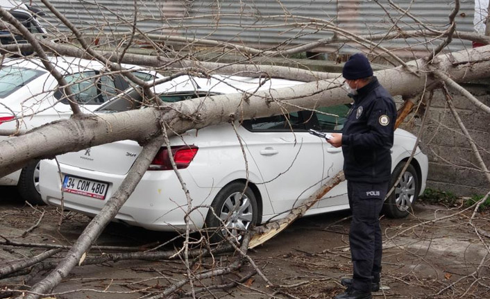 Rüzgarda kırılan ağaç otomobilin üzerine düştü