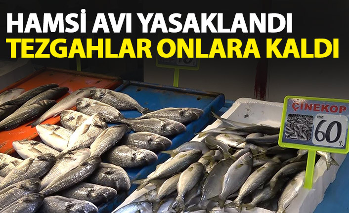 Hamsi avı yasaklandı tezgahlar onlara kaldı