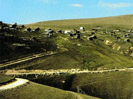 Çaykara'da domuz gribi paniği