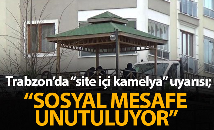 Trabzon'da kamelya uyarısı: Sosyal mesafe unutuluyor