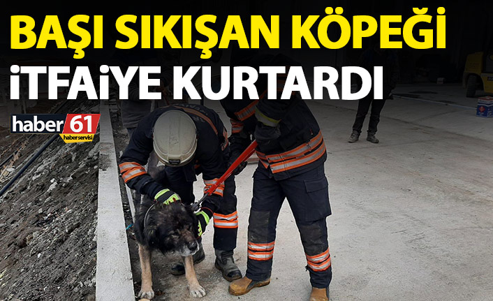 Başı sıkışan köpeğin imdadına itfaiye yetişti