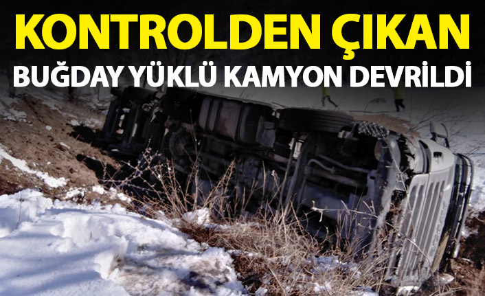 Kontrolden çıkan buğday yüklü kamyon devrildi!