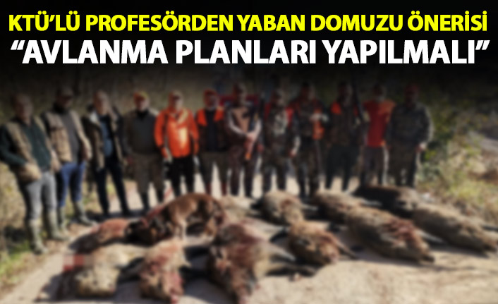 KTÜ'lü profesörden yaban domuzu önerisi: Avlanma planları yapılmalı