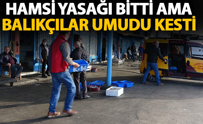 Hamsi avı yasağı bitti ama tezgahlar yine boş kaldı