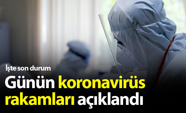 Türkiye'de günün koronavirüs raporu - 10.02.2021