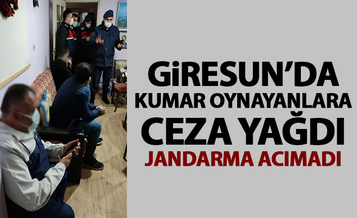 Jandarma acımadı! Kumar oynayanlara ceza yağdı