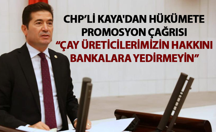 CHP'li Kaya'dan hükümete promosyon çağrısı: Çay üreticilerimizin hakkını bankalara yedirmeyin