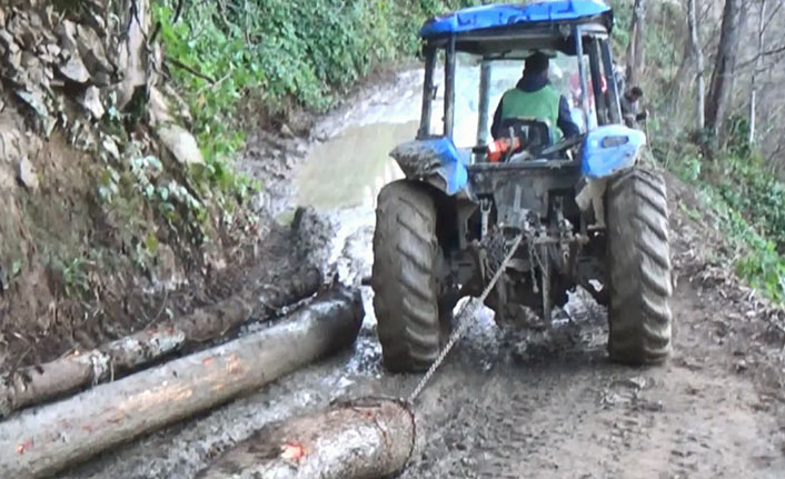 Giresun'da köylü ormanına sahip çıktı, usulsüz kesim durduruldu